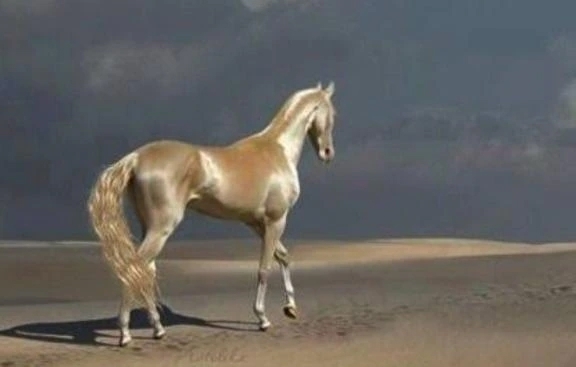 ありがとう御座いました。｜写メ日記｜ゆの｜品川・五反田 一般デリヘル 熟女の風俗最終章 品川店