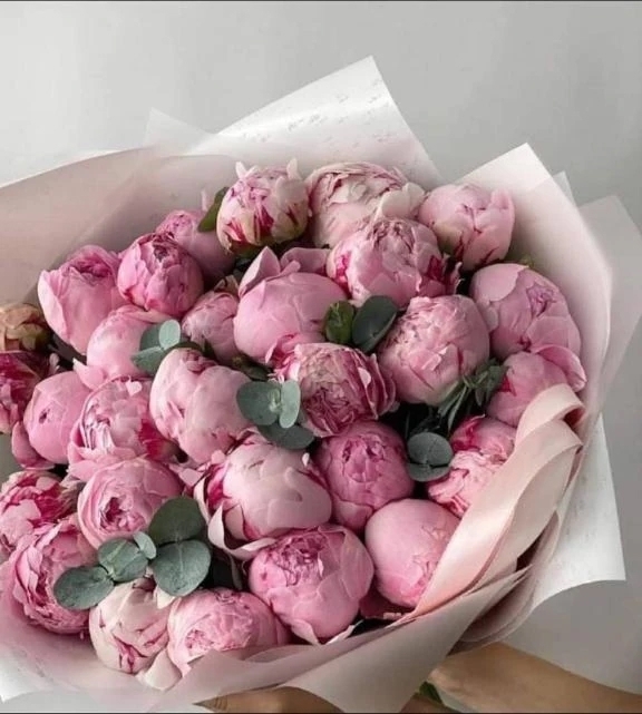 御新規様、ありがとう御座いました。｜写メ日記｜ゆの｜品川・五反田 一般デリヘル 熟女の風俗最終章 品川店