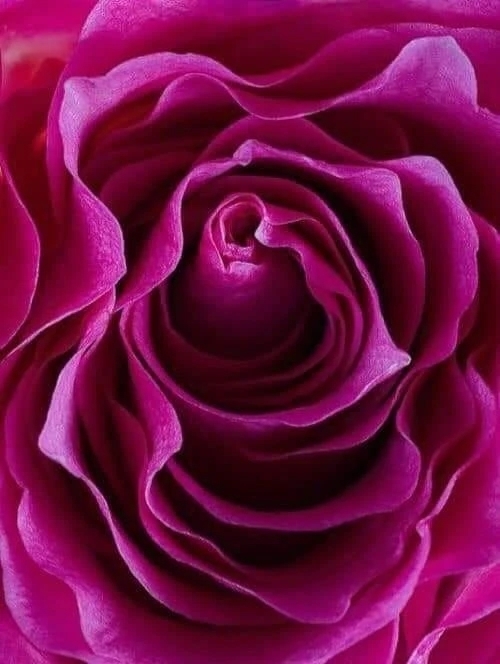 本指名をありがとう御座いました。｜写メ日記｜ゆの｜品川・五反田 一般デリヘル 熟女の風俗最終章 品川店