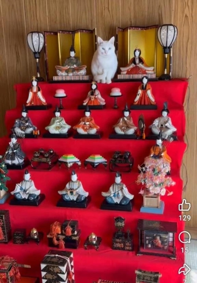 今日は～ひな祭り～🌸｜写メ日記｜ゆの｜品川・五反田 一般デリヘル 熟女の風俗最終章 品川店