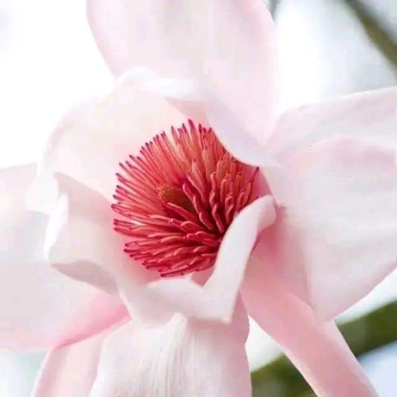 ありがとう御座いました。｜写メ日記｜ゆの｜品川・五反田 一般デリヘル 熟女の風俗最終章 品川店