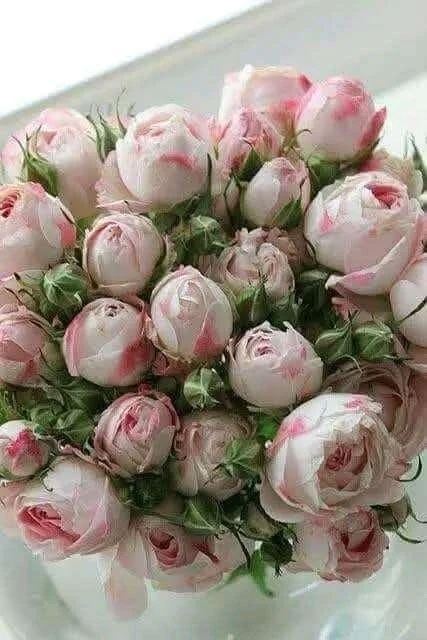 ありがとう御座いました。｜写メ日記｜ゆの｜品川・五反田 一般デリヘル 熟女の風俗最終章 品川店