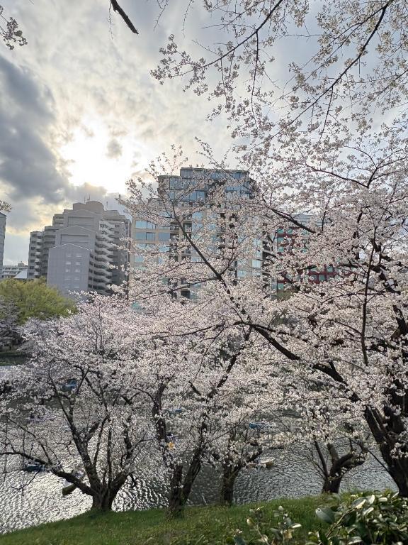 明日！｜写メ日記｜まお｜品川・五反田 一般デリヘル 熟女の風俗最終章 品川店