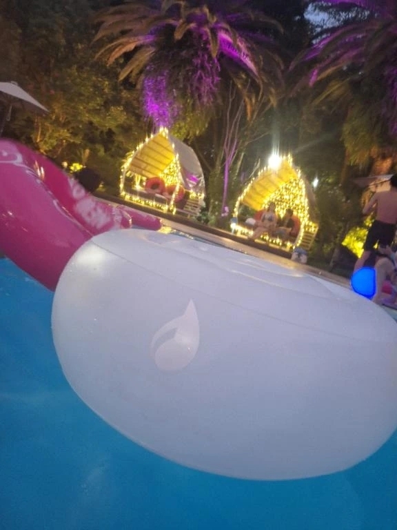 🌺私の夏休み🌺