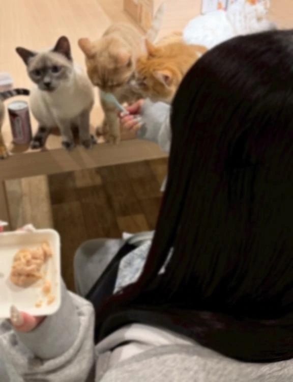 ☔️｜写メ日記｜あみな｜品川・五反田 一般デリヘル 熟女の風俗最終章 品川店