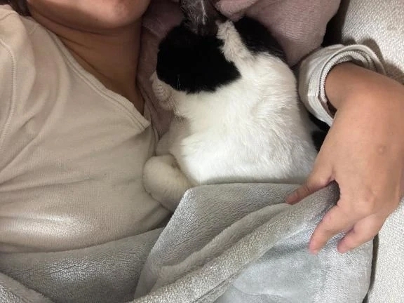 ご予約ありがとう！