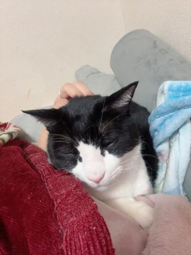 ブラックフライデー٩( 'ω' )و