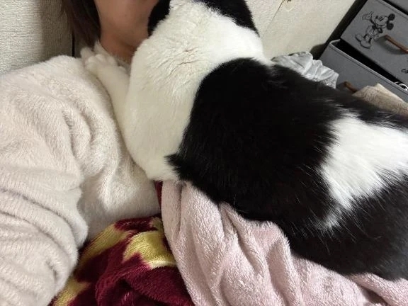 おはようございます٩( 'ω' )و｜写メ日記｜あんず｜品川・五反田 一般デリヘル 熟女の風俗最終章 品川店