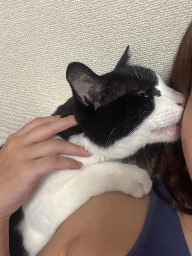 ありがとう！｜写メ日記｜あんず｜品川・五反田 一般デリヘル 熟女の風俗最終章 品川店