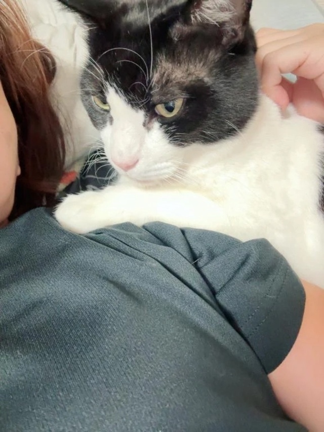 今後からのスケジュール｜写メ日記｜あんず｜品川・五反田 一般デリヘル 熟女の風俗最終章 品川店