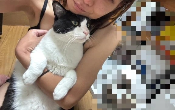 シフト出しました！｜写メ日記｜あんず｜品川・五反田 一般デリヘル 熟女の風俗最終章 品川店