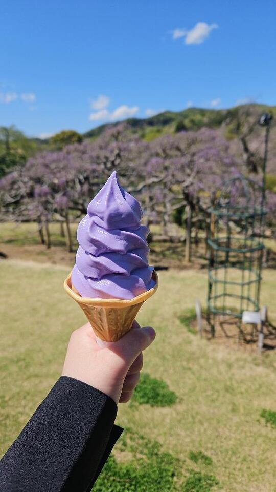 ありがとう💕