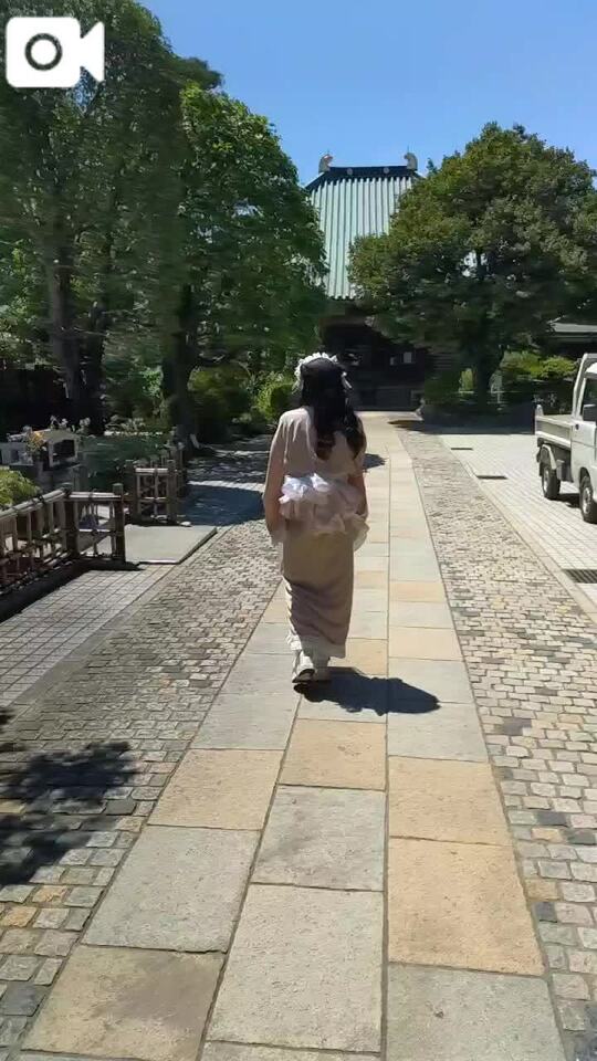 今日の🍀