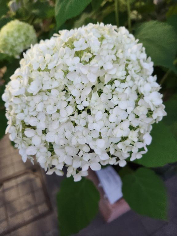 Bさんへ、お礼のメールです♪｜写メ日記｜ここみ｜品川・五反田 一般デリヘル 熟女の風俗最終章 品川店