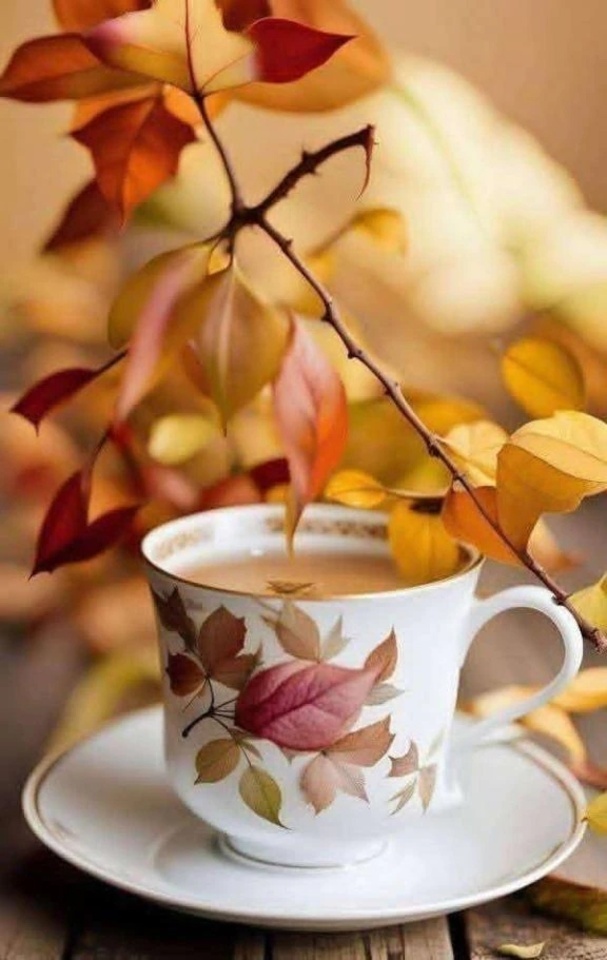 Sさんへ、お礼のメールです♪｜写メ日記｜ここみ｜品川・五反田 一般デリヘル 熟女の風俗最終章 品川店