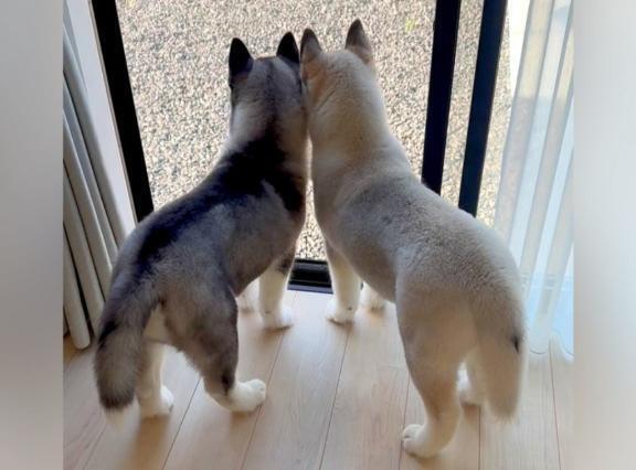 おはようございます🤗