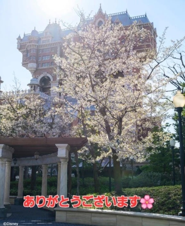 アパホテルでお会いしたM様へ💕｜写メ日記｜まりほ｜品川・五反田 一般デリヘル 熟女の風俗最終章 品川店