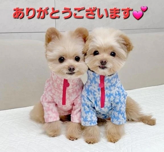 オークでお誘いしたS様へ💕｜写メ日記｜まりほ｜品川・五反田 一般デリヘル 熟女の風俗最終章 品川店