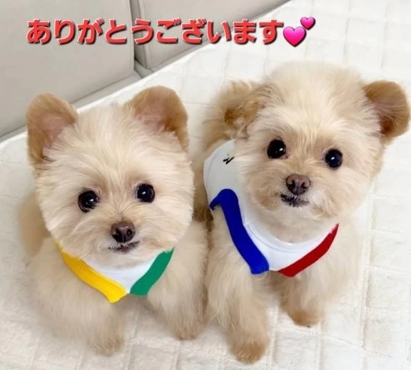 蒲田自宅てお会いしたS様へ💕｜写メ日記｜まりほ｜品川・五反田 一般デリヘル 熟女の風俗最終章 品川店