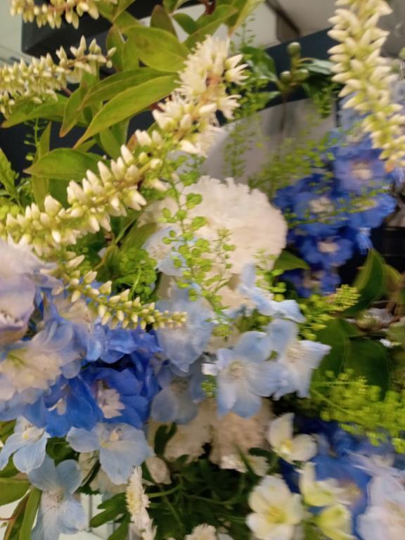 ❤️昨日、ありがとうございます😊｜写メ日記｜まりも｜品川・五反田 一般デリヘル 熟女の風俗最終章 品川店