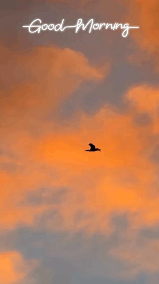 BEACH YOGA🧘‍♀✨🌊｜写メ日記｜まひる｜品川・五反田 一般デリヘル 熟女の風俗最終章 品川店