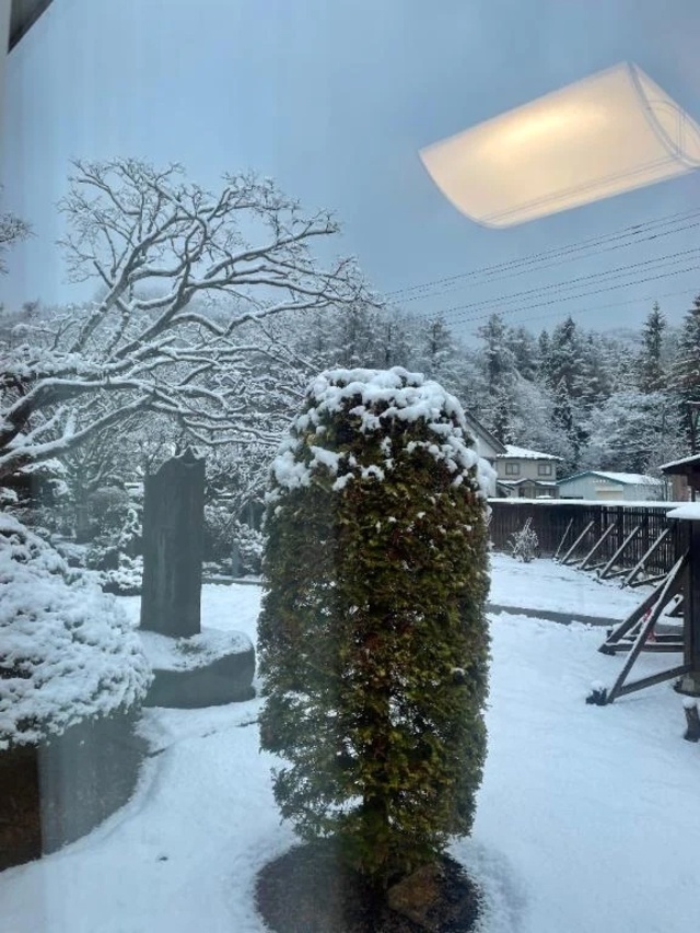 雪の日はワクワク❣️❣️