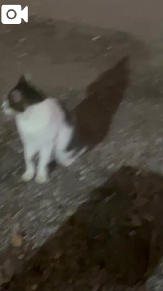 久々に遊んできたー😸｜写メ日記｜ゆりこ｜品川・五反田 一般デリヘル 熟女の風俗最終章 品川店