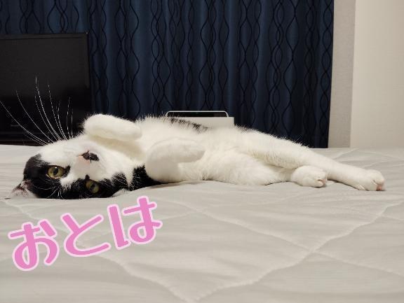 向かってます♪｜写メ日記｜おとは｜品川・五反田 一般デリヘル 熟女の風俗最終章 品川店