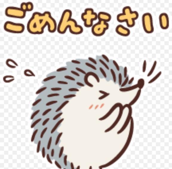 ごめんなさい💦｜写メ日記｜きょうか｜品川・五反田 一般デリヘル 熟女の風俗最終章 品川店