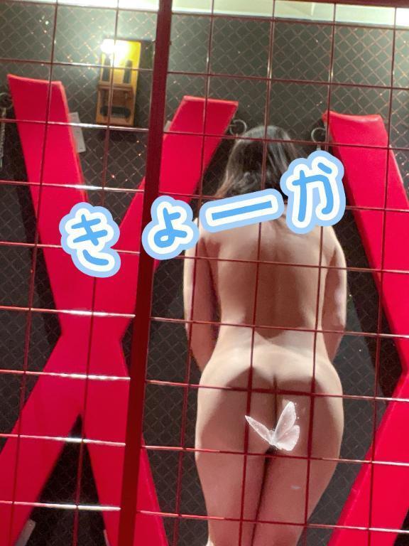 ロッシェルの本指名N様💌｜写メ日記｜きょうか｜品川・五反田 一般デリヘル 熟女の風俗最終章 品川店
