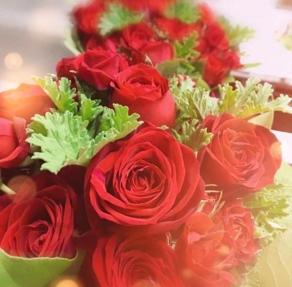 本日｜写メ日記｜あやか｜品川・五反田 一般デリヘル 熟女の風俗最終章 品川店