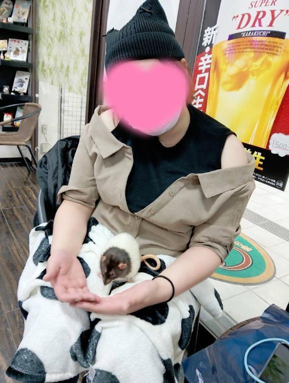 なんか知らんけどもう到着しましたw｜写メ日記｜おもち｜品川・五反田 一般デリヘル 熟女の風俗最終章 品川店