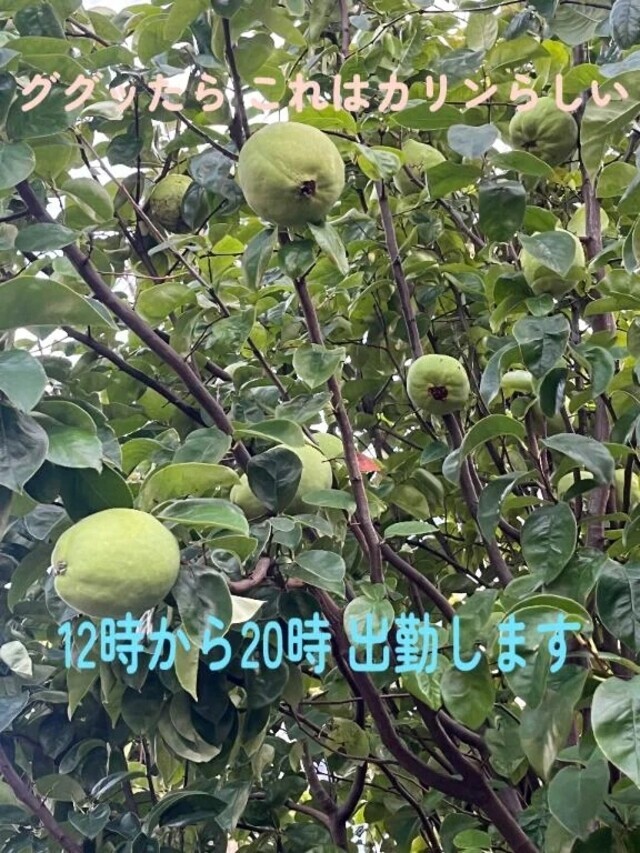 おはようさん♡