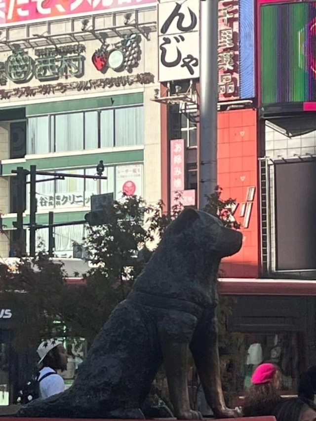 渋谷のハチさん｜写メ日記｜うめ｜品川・五反田 一般デリヘル 熟女の風俗最終章 品川店