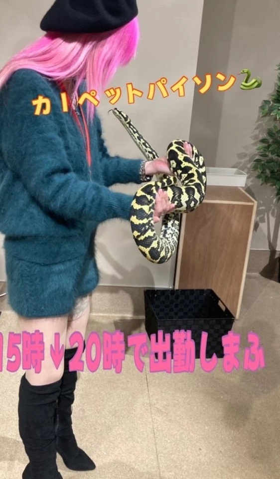 おはおはおはよん｜写メ日記｜うめ｜品川・五反田 一般デリヘル 熟女の風俗最終章 品川店