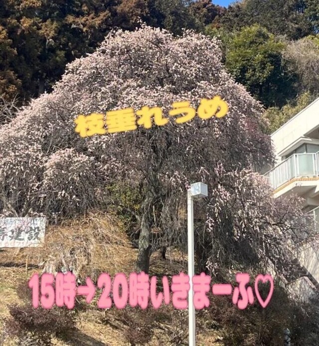 寒暖差すごいねー｜写メ日記｜うめ｜品川・五反田 一般デリヘル 熟女の風俗最終章 品川店