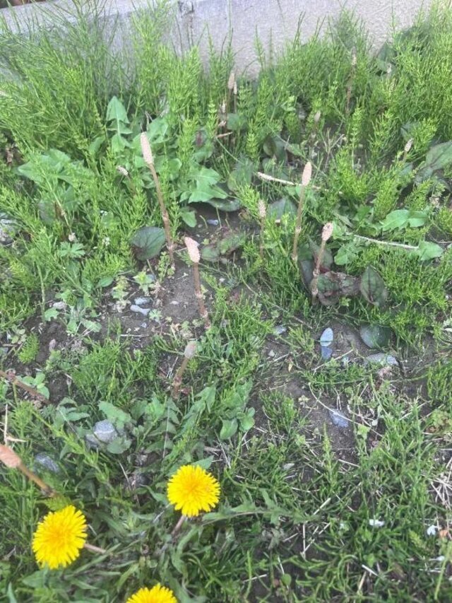 おっぱよん🥳｜写メ日記｜うめ｜品川・五反田 一般デリヘル 熟女の風俗最終章 品川店