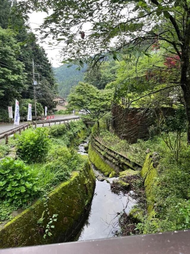 おはよ✌︎(︎︎︎︎‪'ω')✌︎｜写メ日記｜うめ｜品川・五反田 一般デリヘル 熟女の風俗最終章 品川店