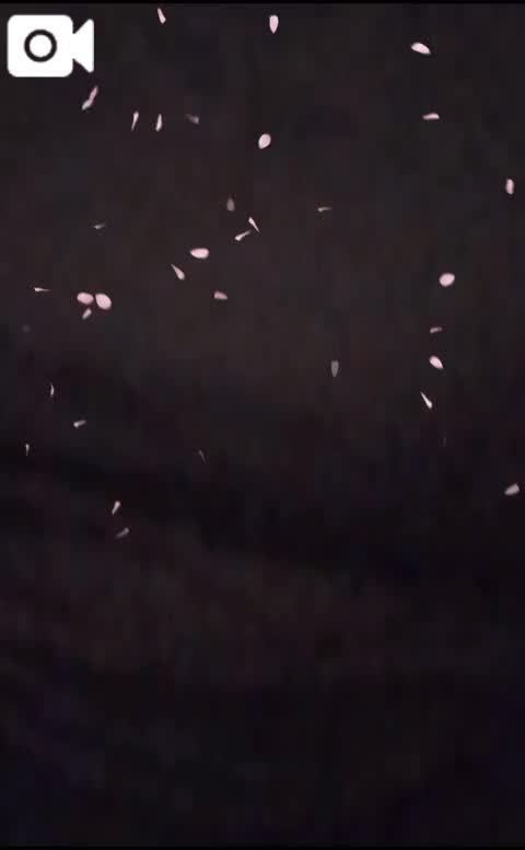 出勤！