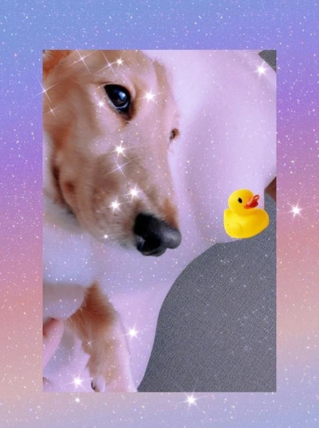 次回！｜写メ日記｜ゆう｜品川・五反田 一般デリヘル 熟女の風俗最終章 品川店