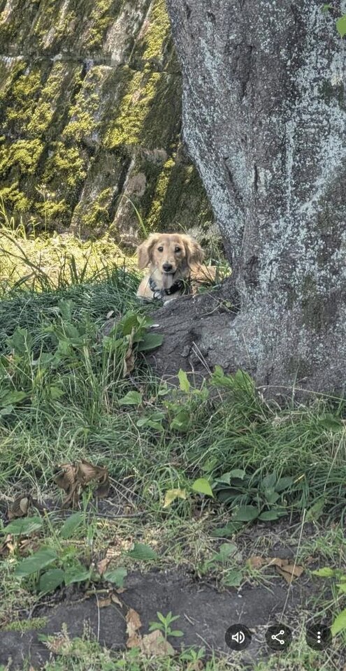 ありがとう！｜写メ日記｜ゆう｜品川・五反田 一般デリヘル 熟女の風俗最終章 品川店