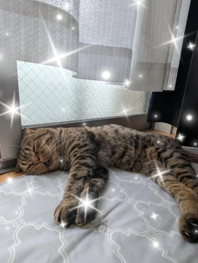 帰宅＼( ´･ω･`)┐