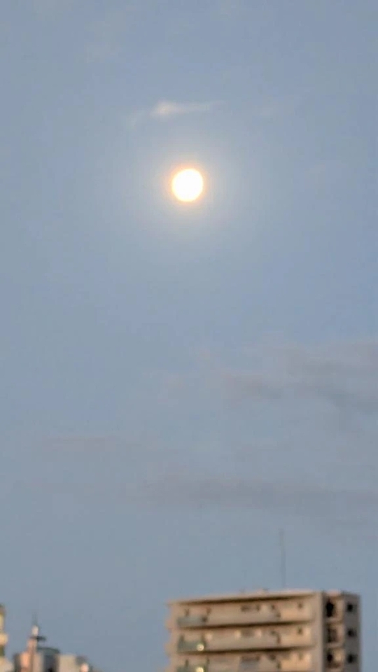 おはようございます｜写メ日記｜りんこ｜品川・五反田 一般デリヘル 熟女の風俗最終章 品川店