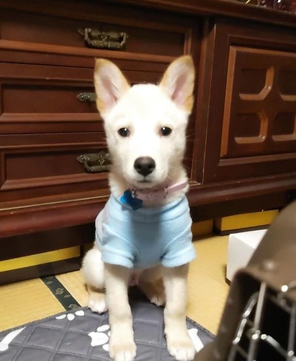 はるな｜写メ日記｜はるな｜品川・五反田 一般デリヘル 熟女の風俗最終章 品川店