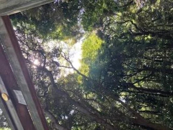 寒い日は暖まりたいなぁ🥹｜写メ日記｜ののか｜品川・五反田 一般デリヘル 熟女の風俗最終章 品川店