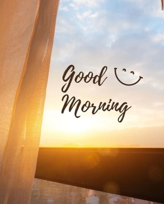 みたよで免疫力UP