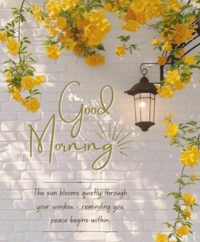 想いを受け取って…｜写メ日記｜ねね｜品川・五反田 一般デリヘル 熟女の風俗最終章 品川店