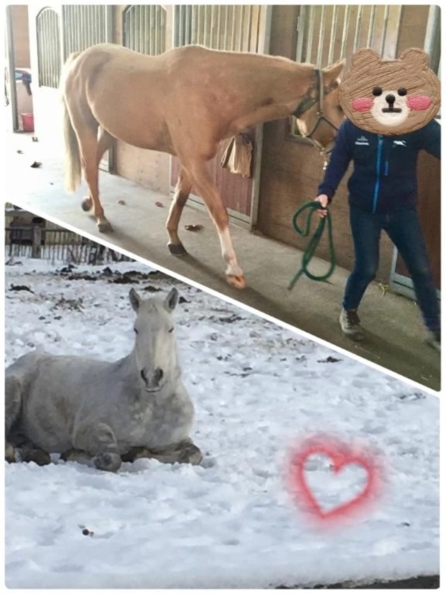 おはようございます☆