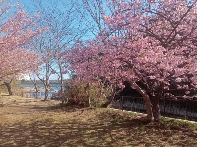 雨ですね｜写メ日記｜かすみ｜品川・五反田 一般デリヘル 熟女の風俗最終章 品川店