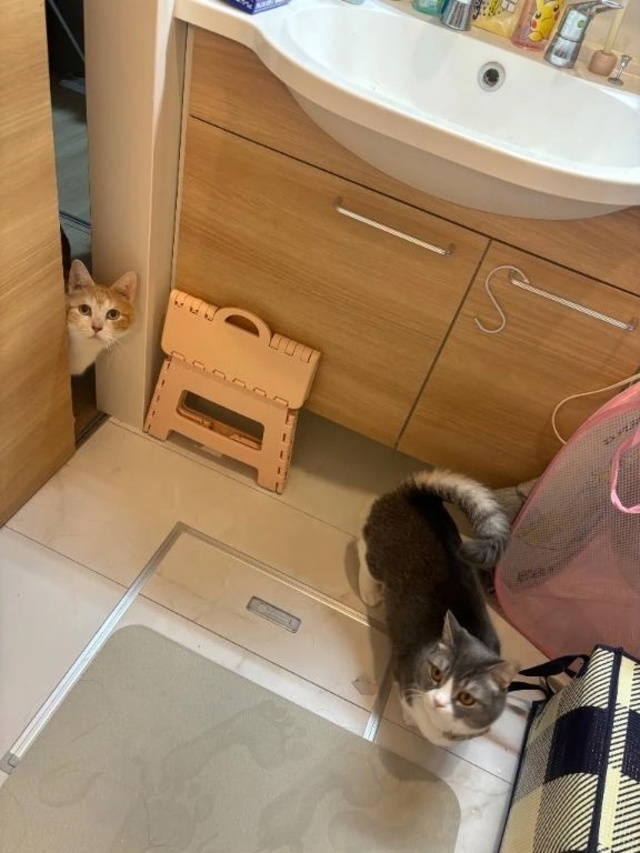 ありがとうございます！｜写メ日記｜こころ｜品川・五反田 一般デリヘル 熟女の風俗最終章 品川店